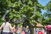 TX_23_06_F7767