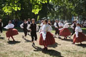 TX_23_06_F7653